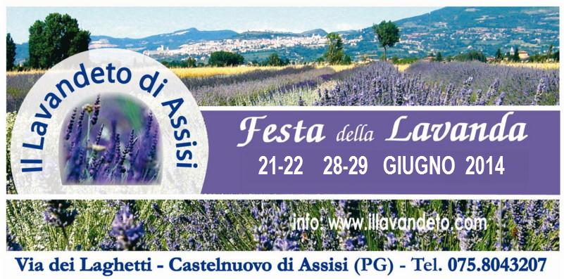 Ad Assisi la festa della lavanda