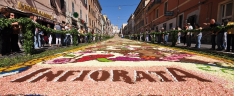 Notizie dal blog relative a news ed eventi