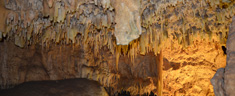 Notizie dal blog relative a news ed eventi